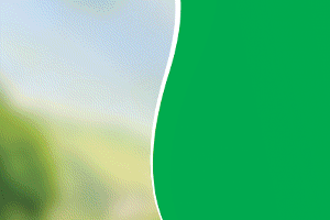 Home Page Sidebar Ad -2